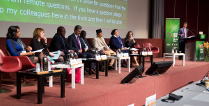 Inclusion panel